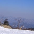 해인