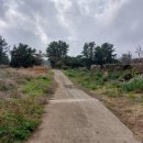 하천리-9 이미지