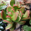 향원농장 이미지