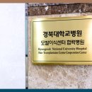 경대뉴보자르의원 이미지