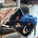 하쿠나마타타헤어 이미지