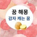 감자수북 이미지