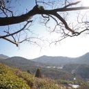 삼애 이미지