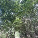 대동면행정복지센터 화장실 이미지