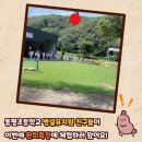 동평목장 네이버블로그