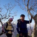 가지산약국 이미지