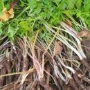 전호농장 이미지