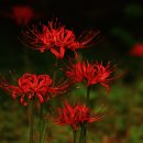 군산 종합운동장 이미지