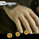 천연벽지
