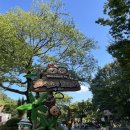 라라농장 | 위치한 동물농장 주주팜 방문후기 (입장료, 운영시간...가능, 펌킨 페스타 기간 라라랑 포토타임, 포토존)