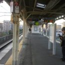 와사비 하우스(Wasabi House) 이미지