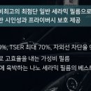 썬팅랜드