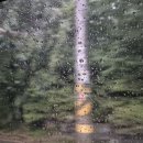 강남구돗자리. 자원봉사자의날 이미지