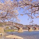 이교안경 이미지