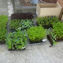 주진경로당 이미지