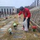 강릉청솔공원 이미지