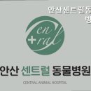 안산센트럴동물병원