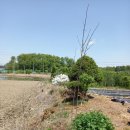 주공A경로당 이미지