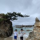 더레드하우스 | 21년 여름 가족여행 - 2 정동진 - 기사문해변 - 설악동