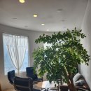 (주)혜인천안공장 | (천안)목천카페 따뜻함이 느껴지는 코끼리공장카페