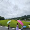 지토농장 이미지