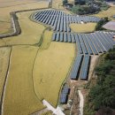 금이태양광발전소 이미지