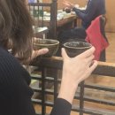 일진세탁 | 2025年 10月