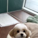 동그라미 동물의료센터 이미지