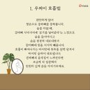 정통 호흡 요가 이미지