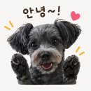 다동164-2 | 을지로맛집 초류향 중식당 내돈내산 , 3대째 운영 참깨오리 마파두부 후기 (주말 저녁 예약 , 룸식당)