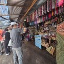 유민농장 | 태국 치앙마이 치앙라이 패키지여행 후기 (1,2일차)