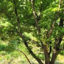 숨터 게스트하우스 이미지