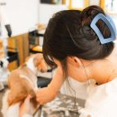 애견미용실 꽃개 이미지