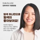 새치, 흰머리 전문 '그레이컬러케어' 시스템 틴트라이프 기장정관점 이미지