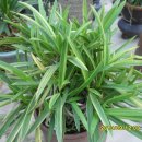 대주농장 이미지