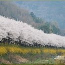 오산10리 Daum카페