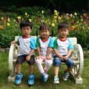 남부어린이집 이미지