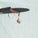 매지컬 무브먼트 | 러빈볼 목걸이, 유리볼 안에 영롱한 우주를 담다. luvinball 리뷰