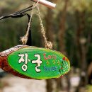 캠프온 오토캠핑 Daum카페
