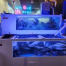 박영철 사시미 이미지