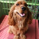 동아장여관 이미지