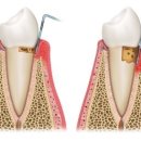 그린필치과의원 이미지