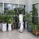 청룡골프랜드 이미지