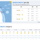 2022년 5월 16일(월요일) 08:00 현재 대한민국 날씨정보 및 기상특보 발표현황 (울릉도, 독도 포함 - 기상청발표) 이미지