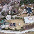 벳소캠프 이미지