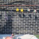 홍이마켓 이미지