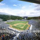 실내야구장 이미지