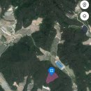 법전면사무소 이미지