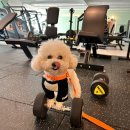 피티 인(PT IN) 이미지