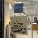 하이독스 이미지